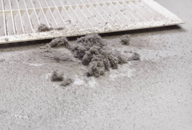 Best Dryer Vent Cleaning Services  in Lexington, VA