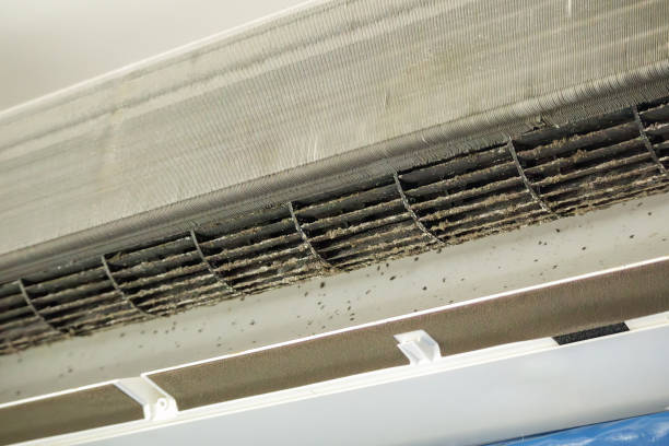 Best HVAC System Cleaning  in Lexington, VA